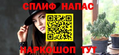 стафф Белореченск