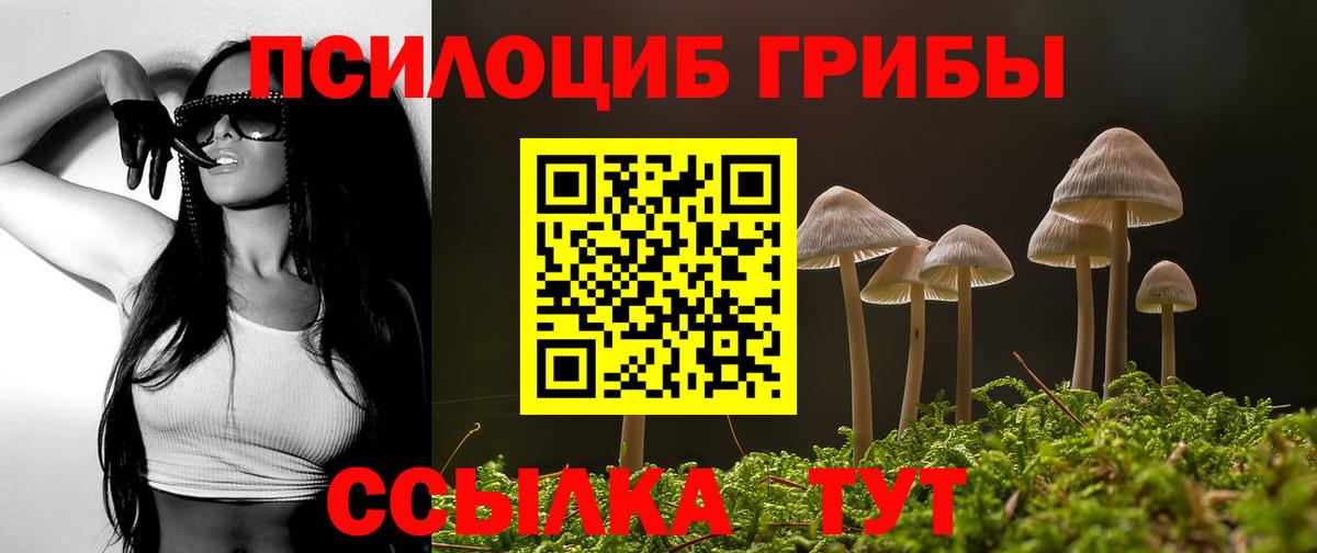 Псилоцибиновые грибы Magic Shrooms Печора